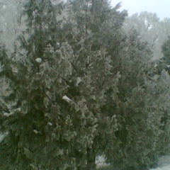 Sam Sung, 05.08.1985, Алматы