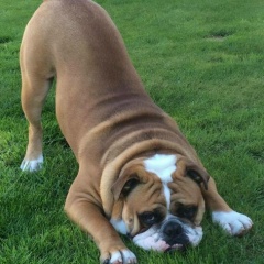 Марина Рыбакова, 15.07