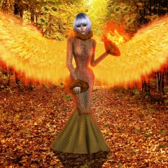 Danil Eustáquio, 11.12, Tokyo