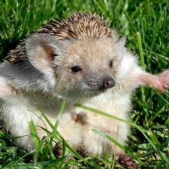 Мария Уварова, 15.08, Москва