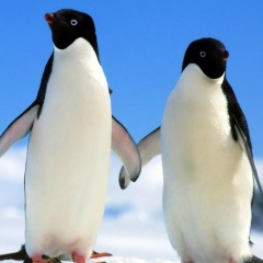 Мелина Токарева, 05.02.1989, Хабаровск