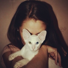 Ира Семенова, Санкт-Петербург