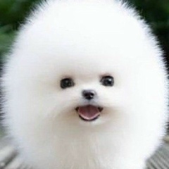 Даша Дорогова, 31.12.1991