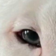 Юлия Ежихина, 04.01, Москва