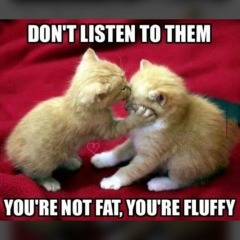 Vassana Vassana, 11.02.1974