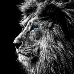 Александр Поляков, 24.04, Усть-Каменогорск