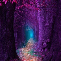 Соня Барышева, 19.09.2005