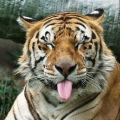 Александр Варнавский, 08.09.1985, Краснодар