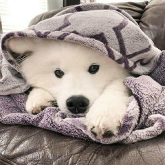 Наталья Бр, 03.05.1963