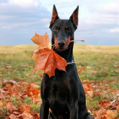 Дарья Горбатова, 14.04, Москва