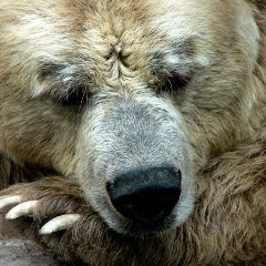 Анвар Бурганов, 13.01.1991, Москва