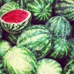 Марат Магомедов, 31.03, Дербент