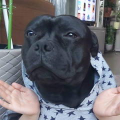 Jonny Jonny, 07.01.1933, Алматы