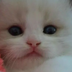 Екатерина Валерьевна, 06.09.1987