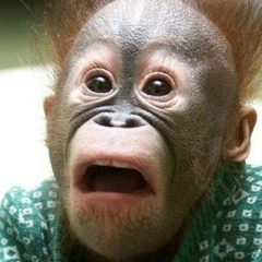 Алексей Федоров, 24.09.1986