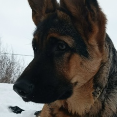 Алексей Кузин, 14.11, Алексеевское