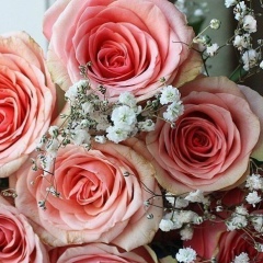 Meruert Abdygalieva, 12.09.1978, Караганда