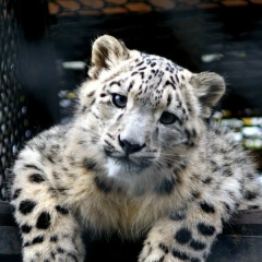 Валентин Янюшкин, 07.12.1979, Томск