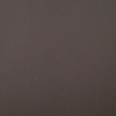 Andriana Shkoba, 05.06, New York City