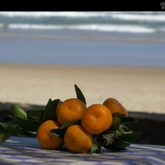 Ирина Архипова, 25.04, Санкт-Петербург