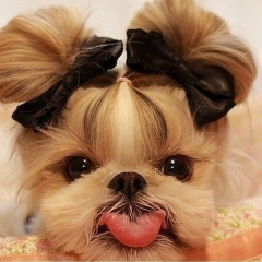 Марина Васильевна