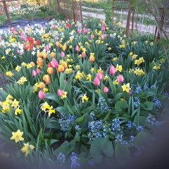 Асель Мурзабаева