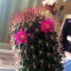 Юлия Баскакова, 24.10.1980, Москва