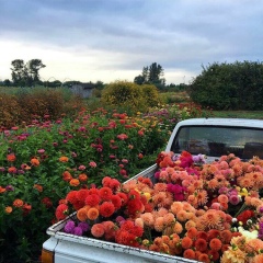 Alina Yelgondina, 13.03, Ankara
