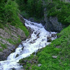 Талантбек Базаркулов