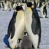 Чингиз Ахматов, 23.08, Кокшетау