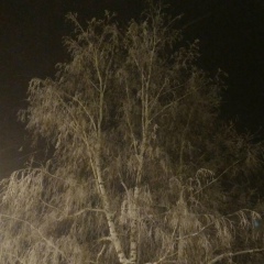 Андрей Халифаев, 25.02.1987, Санкт-Петербург