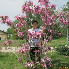 Елена Логуш, 27.03, Киев