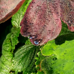 Ян Бонгарь, 28.05.1986, Серпухов