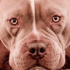 Кирилл Левин, 02.04.1979, Москва