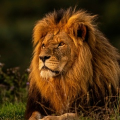 Юлия Кувабина, Москва