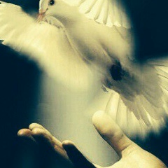 Олена Прокопович, 21.01.1981, Тернополь