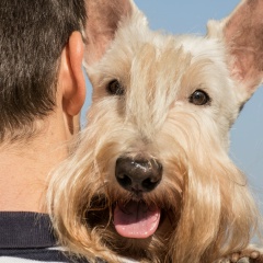 Александр Макеев, 28.03.1985, Киев