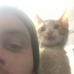 Свят Гаевой, 04.01, Печора