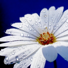 Эля Каирова, Алматы