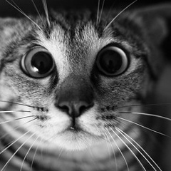 Almagul Kabiyeva, 22.02.1988, Атырау