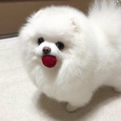 Elizavetka Dotduieva, 05.07