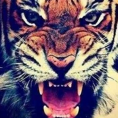 Алексей Лупашку, 03.05, Караганда