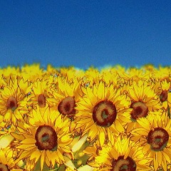 Biomechanical Angel, 06.04, Киев