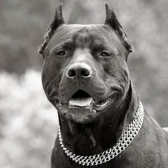 Вадим Плешаков, 19.06, Дзержинск