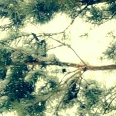 Екатерина Аминова, 13.04.1987, Москва