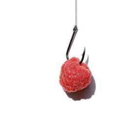 Максим Максимов