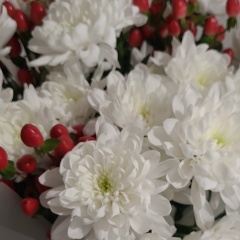 Татьяна Цветкова, 15.09, Санкт-Петербург