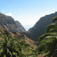 Анна Плотникова, Великий Новгород