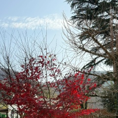 Ирина Бушина, Москва