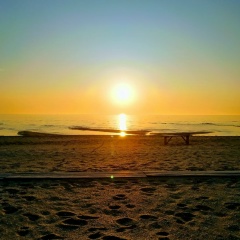 Оркен Сельханов, 01.11.1991, Жанаозен